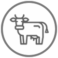 Farmer